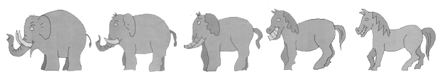 de Elefante a Caballo