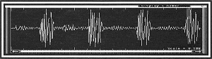 Muestra correcta - 21 Kb
